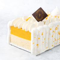 Vacherin Exotique - Mangue/Passion & Vanille/Citron vert